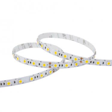 60LED 5050 Single Color